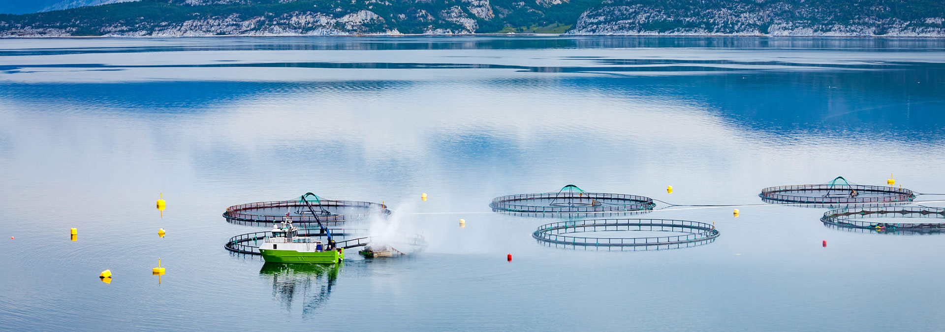 云顶集团养殖成本更低、更赚钱