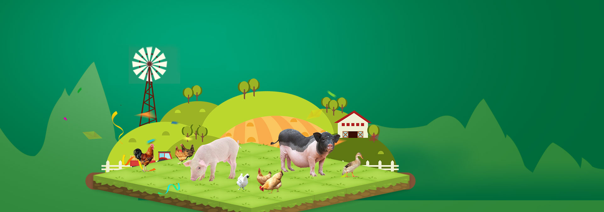 云顶集团养殖成本更低、更赚钱，做高性价比饲料领导者